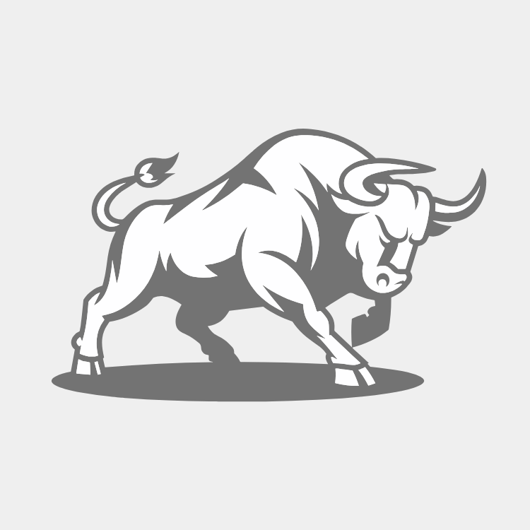 Boğa Sneakers - E-ticaret SEO